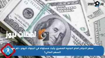 سعر الدولار أمام الجنيه المصري يثبت مستواه في البنوك اليوم – كم هو السعر الحالي؟